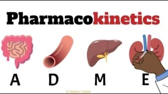 Clinical Pharmacokinetics